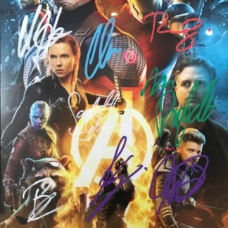 Avengers Cast – Multi-Signed 8″ x 10″ Photo by 8 Actors of main cast with COA