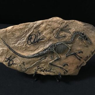 Jurassic World Fossil Statue – Signed by Bryce Dallas Howard, Chris Pratt, Laura Dern & Sam Neill (with COA)