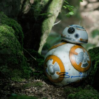 Brian Herring as BB-8 in Star Wars: The Force Awakens – signed 14"x10" photo with COA