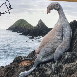 Aidan Cook: Star Wars Creature Performer – signed 10"x8" color photo with COA