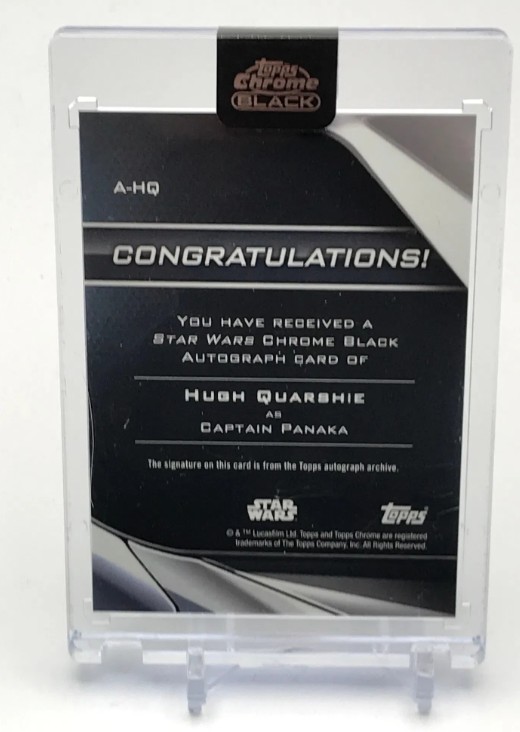 Hugh Quarshie as Captain Panaka in Star Wars