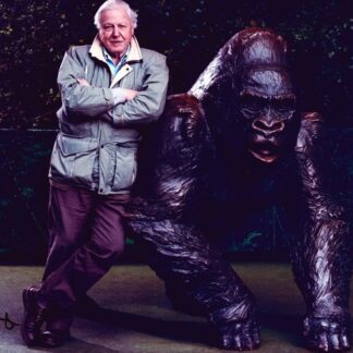 David Attenborough – signed 10"x8" photo with COA