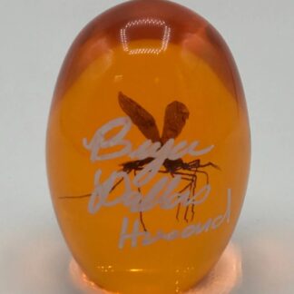 Bryce Dallas Howard Jurassic Park Amber Block - signed collectible - with COA