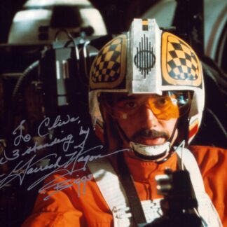Garrick Hagon as Biggs Darklighter
