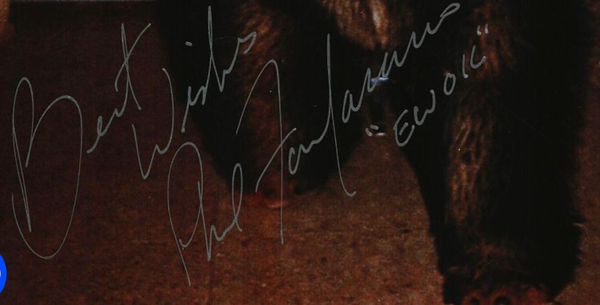 Phil Fondacaro as Ewok in Star Wars