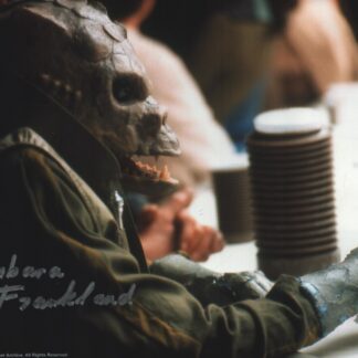 Barbara Frankland as Saurin in Star Wars